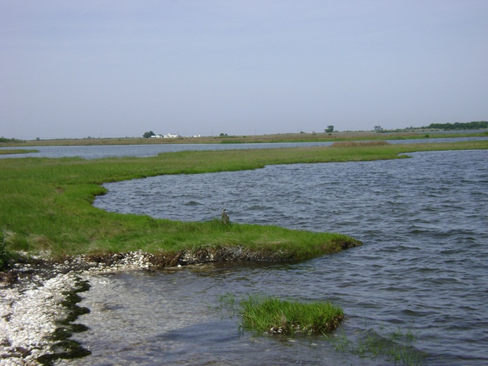 a-DSC04811.JPG