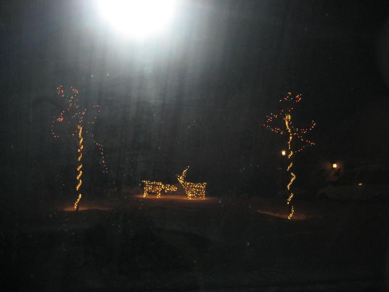 xmaslight 006.JPG