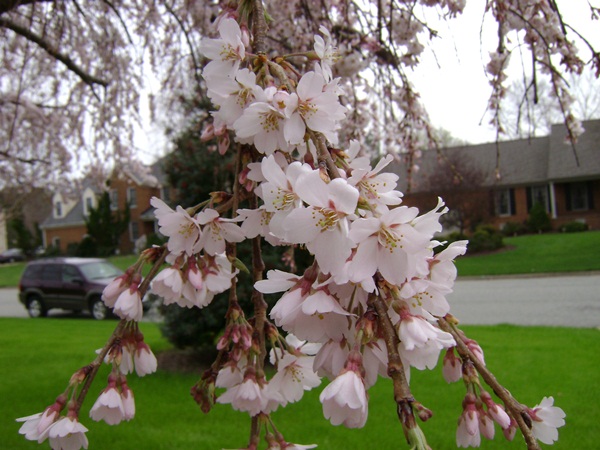 c-DSC03057.JPG