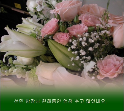 a-SANY0060.JPG