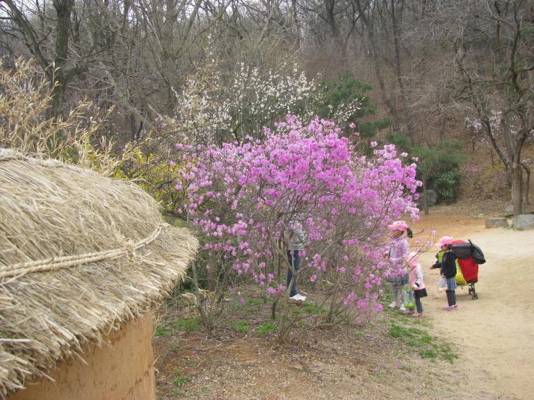 용인 민속촌 074.jpg