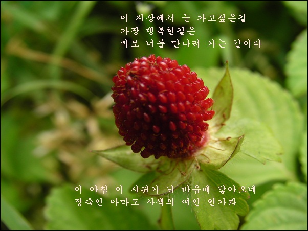 aa-SANY0487.JPG