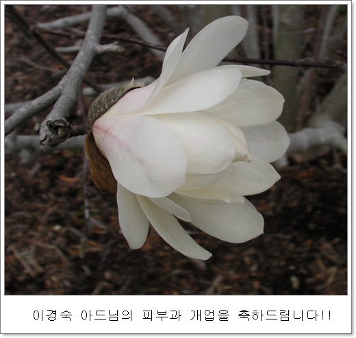 bb-SANY0717.JPG