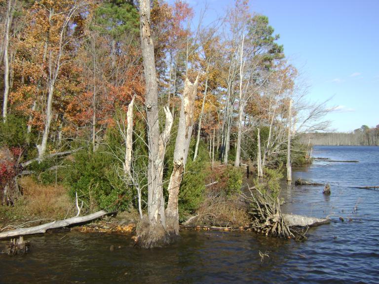 DSC05667.JPG