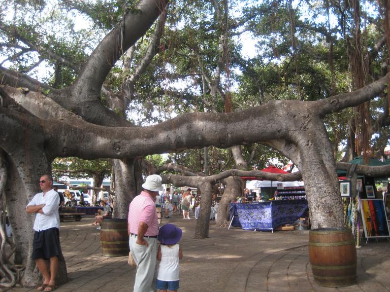 Hawaii 511.JPG