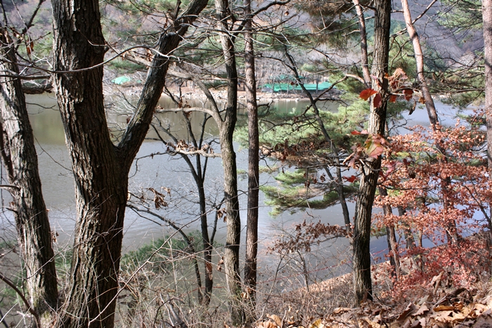 IMG_7849.JPG