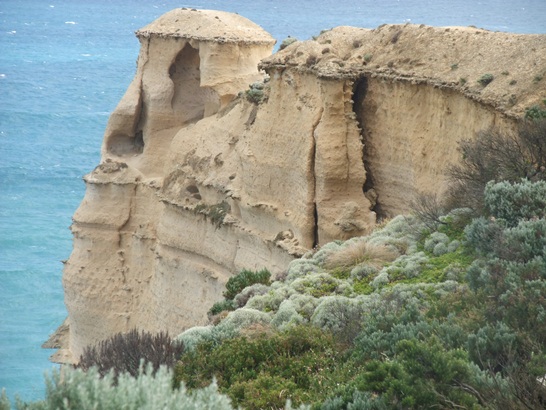 DSCF4440.JPG