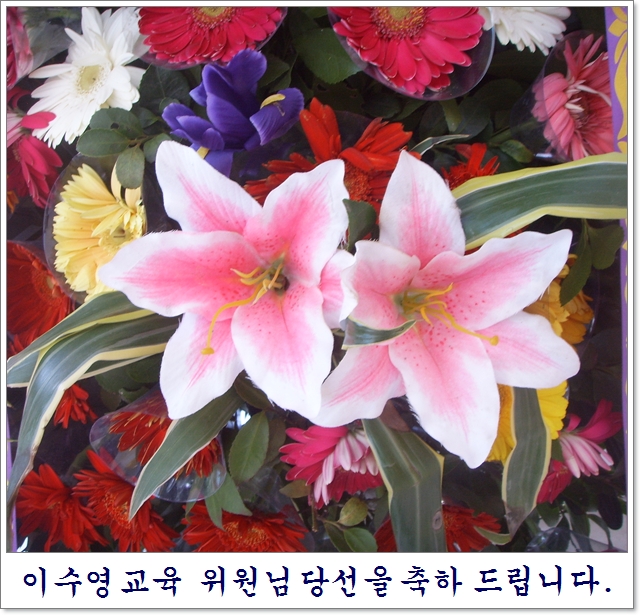 SSL17723.JPG