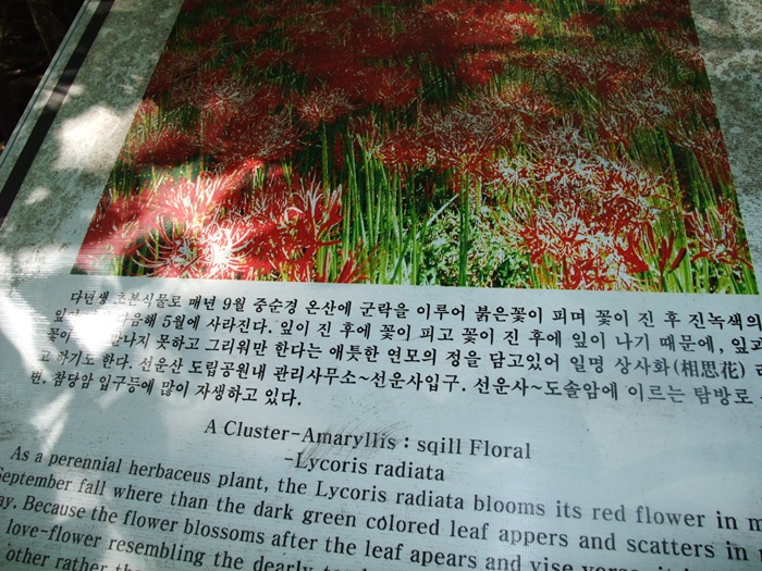 DSCF2203.jpg