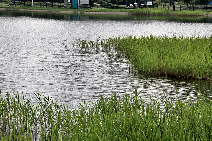 IMG_3042.JPG