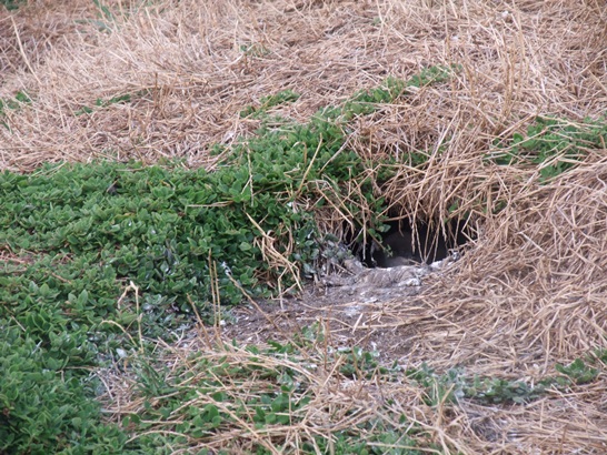 DSCF4340.JPG
