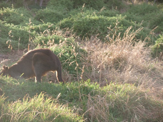 DSCF4348.JPG