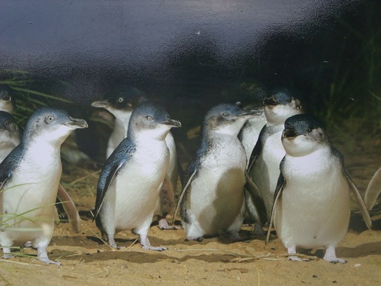DSCF4353.JPG