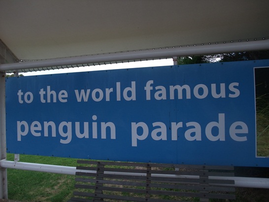 DSCF4354.JPG