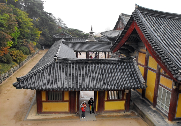 DSCF8815.JPG