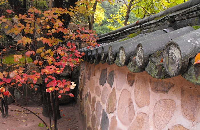 DSCF8820.JPG