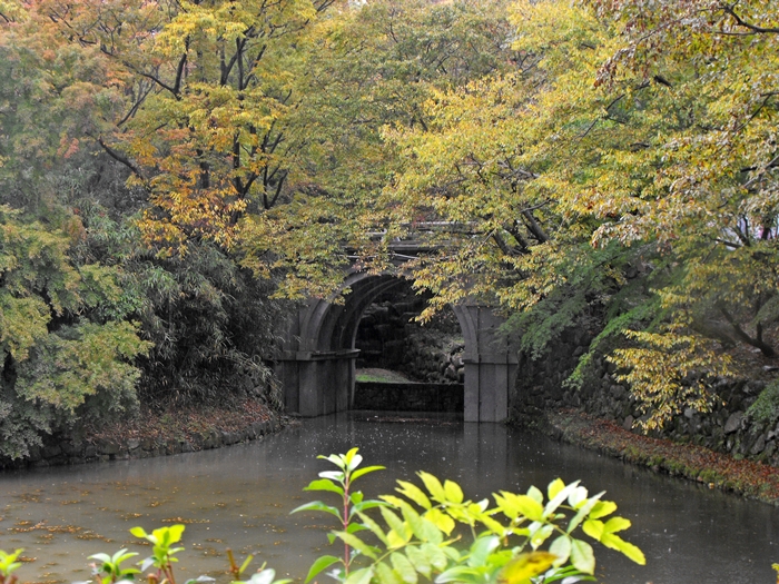 DSCF8834.JPG