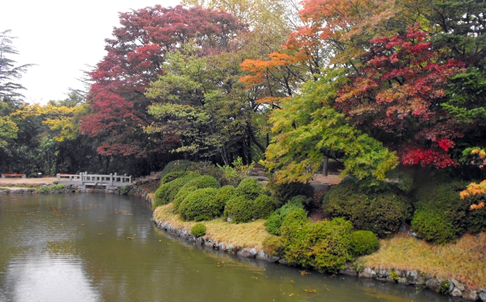 DSCF8835.JPG