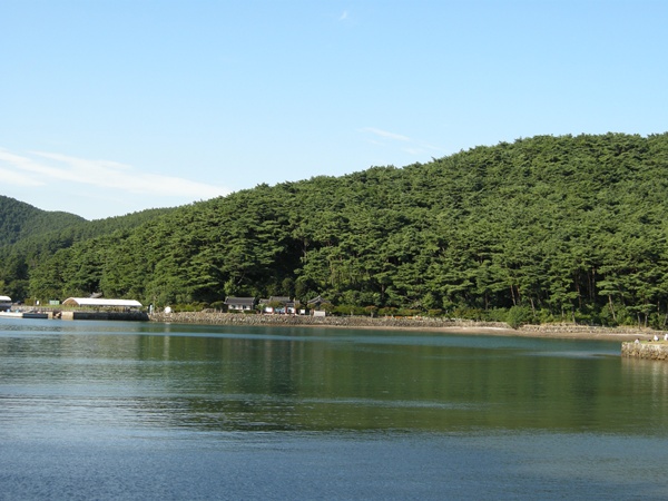 oedo 014.JPG
