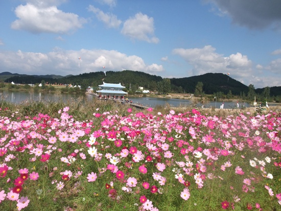 DSCF2075.jpg
