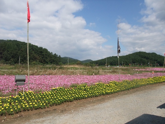 DSCF2123.jpg