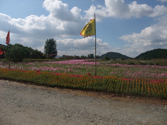DSCF2124.jpg