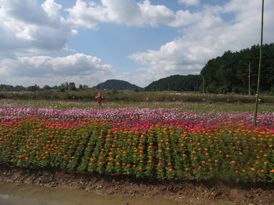 DSCF2126.jpg
