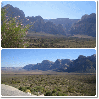 las vegas1.gif