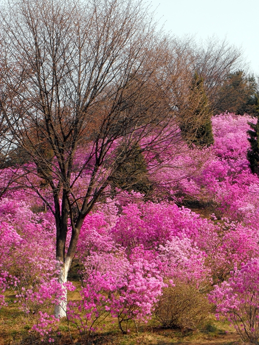 DSCF2122.JPG