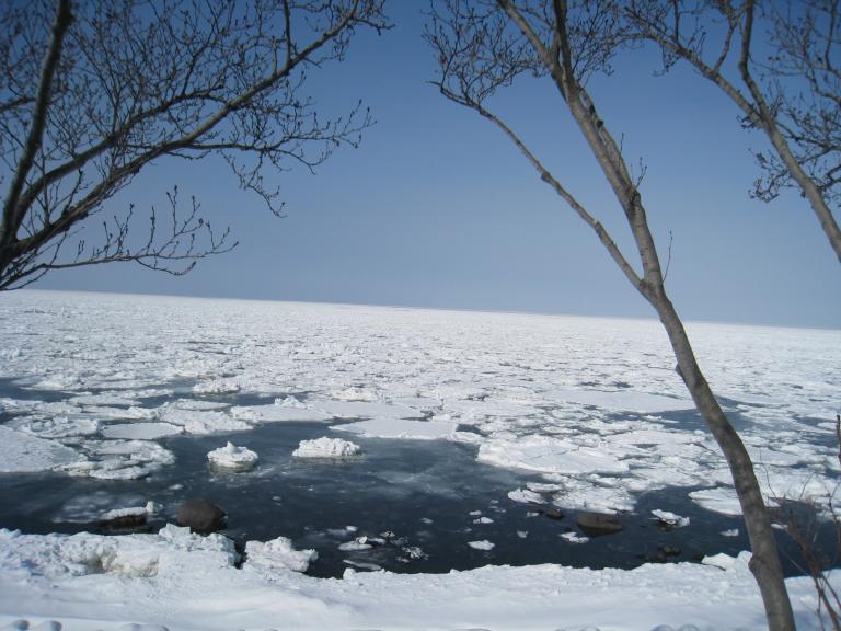 사진 286.jpg