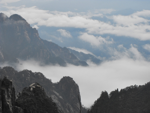 whang-m.jpg