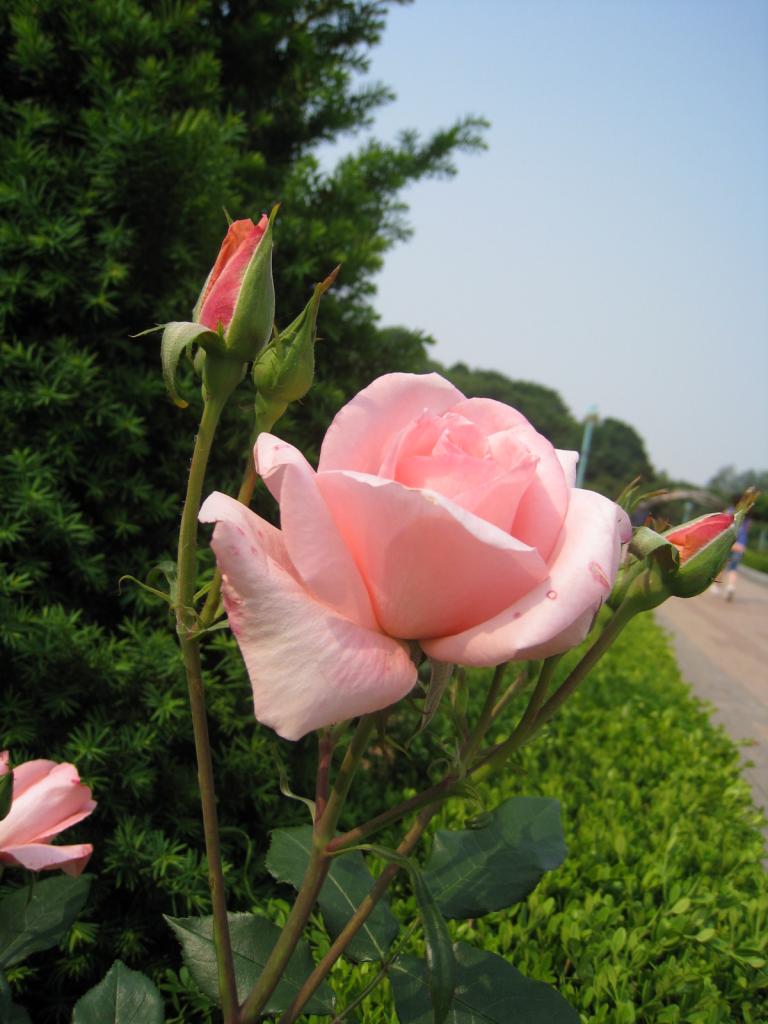 사진 002.jpg