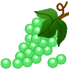 wine017.gif wine017.gif