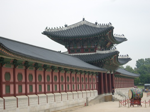 SN200229.JPG