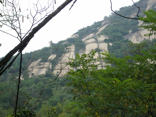 SN200250.JPG