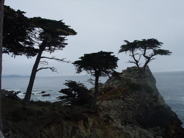 DSCF2714.jpg