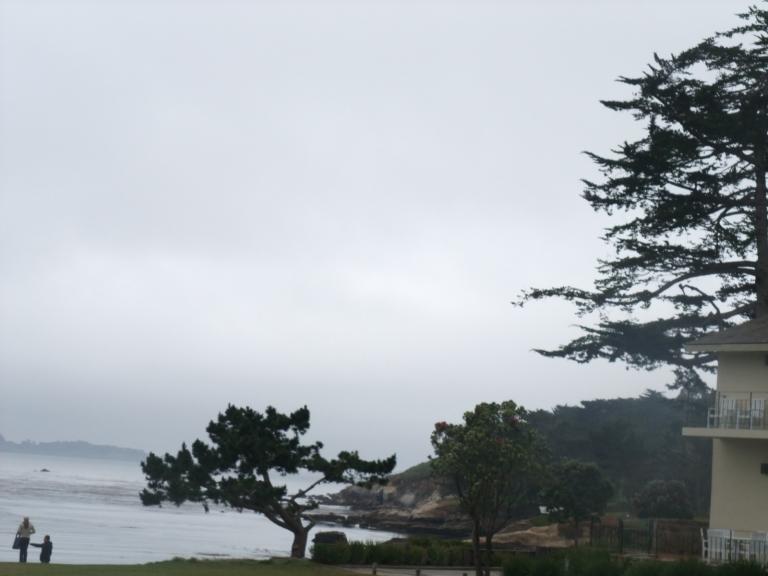DSCF2724.jpg