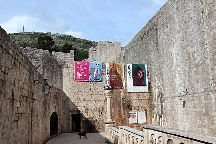 IMG_9583.JPG