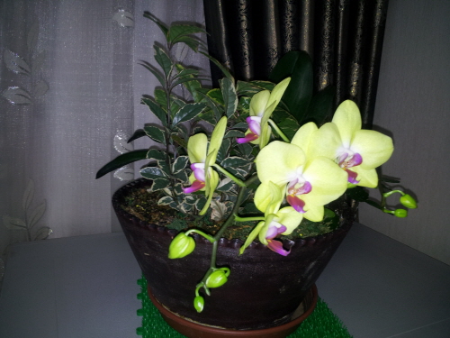 크기변환_2012-04-22 07.39.36.jpg