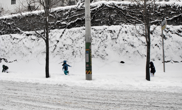 10snowpark (180).JPG