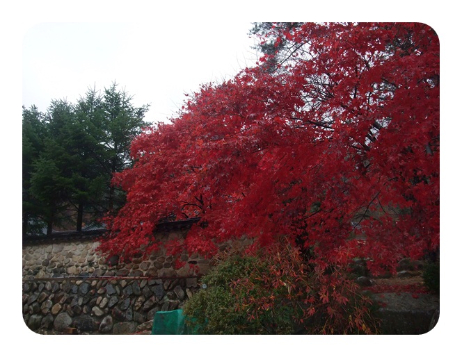 DSCF5104.JPG