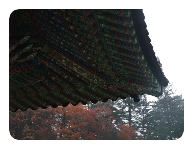 DSCF5129.JPG