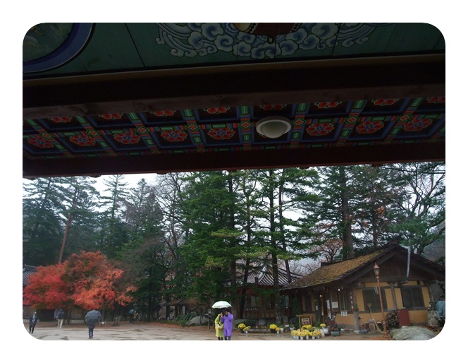 DSCF5141.JPG