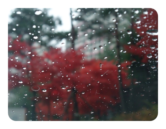 DSCF5101.JPG