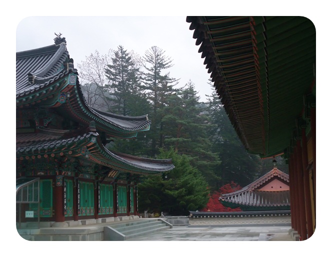DSCF5133.JPG