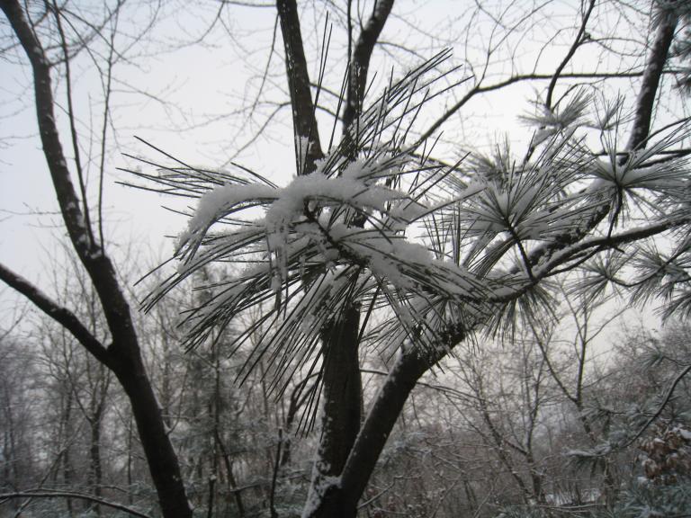 사진 405.jpg