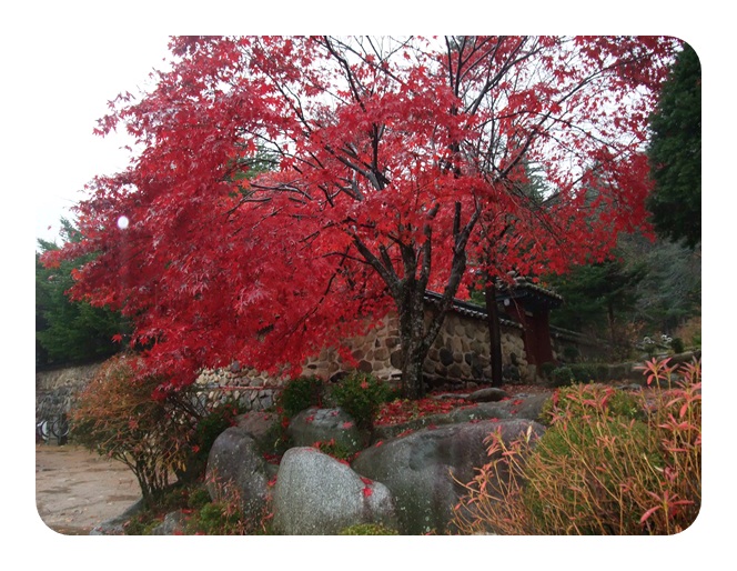 DSCF5102.JPG