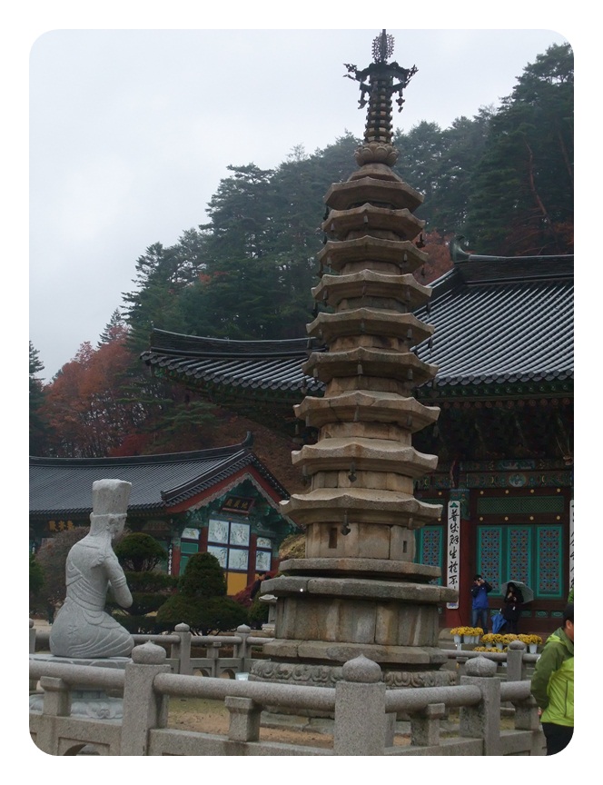 DSCF5121.JPG