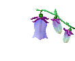 color_flower67.gif