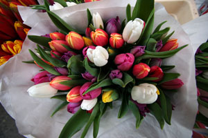 Floating_Flower_Market_14S.jpg
